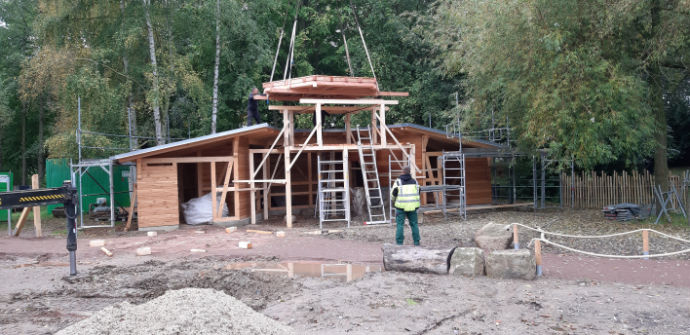 Aufbau Dach Voliere Lachender Hans