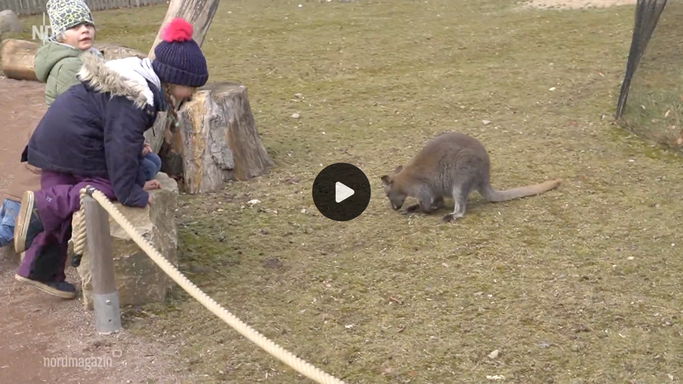 Saisonstart für Tierpark in Wismar